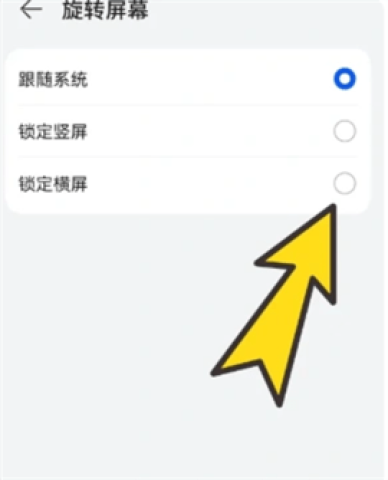 bobo浏览器 第8张图