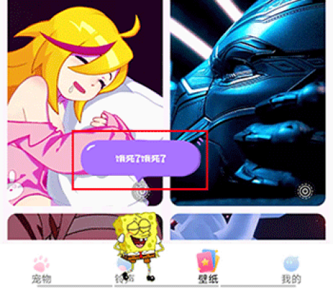 趣味萌宠 第1张图