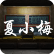 孙美琪疑案:夏小梅