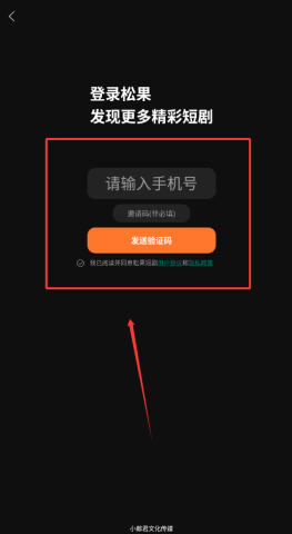 松果短剧 第3张图