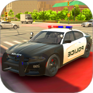 警察驾驶警车模拟