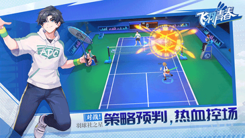 飞羽青春羽毛球 第1张图