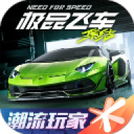 极品飞车集结
