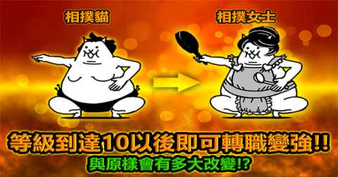 猫咪大作战