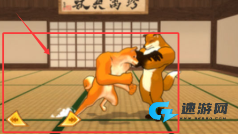 动物之斗 第3张图