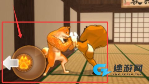动物之斗 第1张图