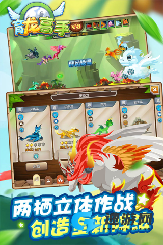 育龙高手