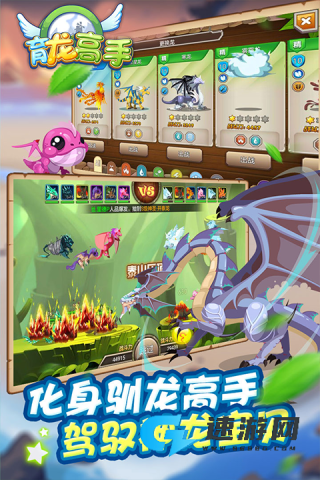育龙高手