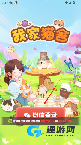 我家猫舍 第1张图