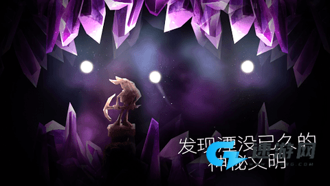SHINE光之旅