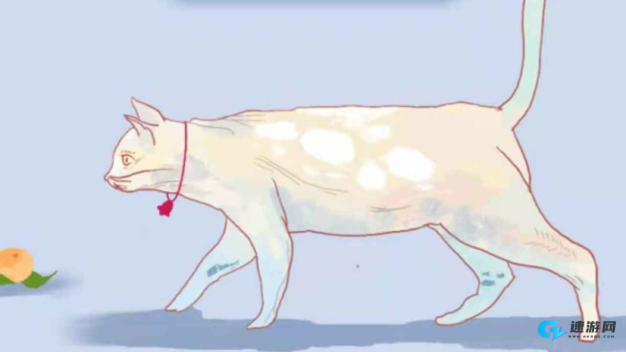 逃跑的猫