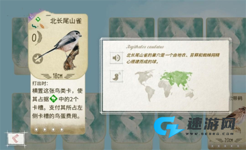 展翅翱翔安装器 第8张图