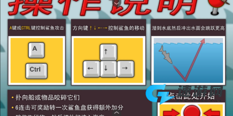 鲨鱼的复仇