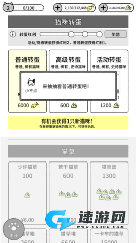 猫咪真的很可爱 第6张图
