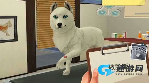 梦幻职业兽医