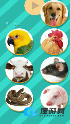 Pet Translator动物翻译器