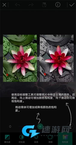 相片大师 第3张图