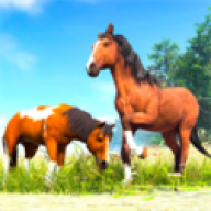 养马模拟器