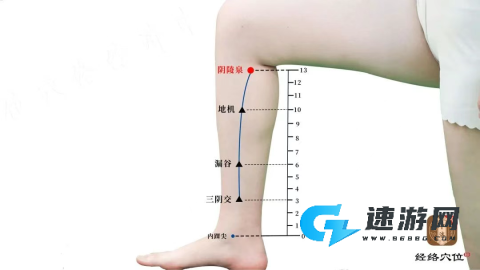 知源经络穴位 第1张图