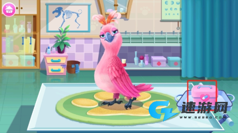 毛绒宠物医院 第13张图