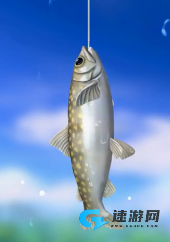 垂钓旅游 第10张图