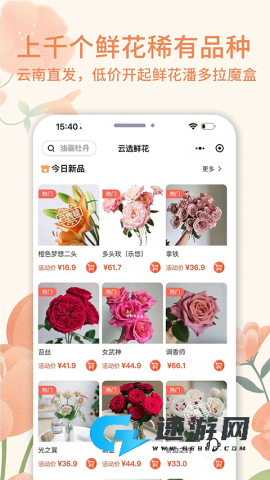 云选鲜花批发