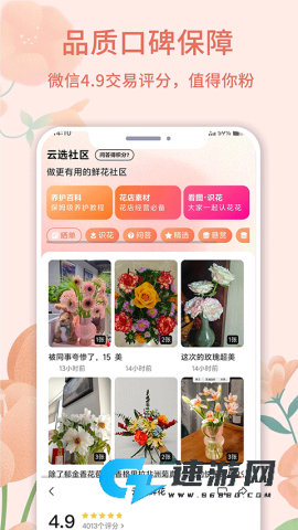 云选鲜花批发
