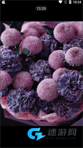 云选鲜花批发 第3张图