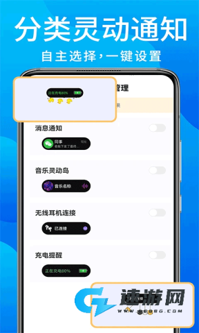 灵动鸟