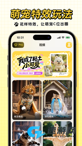 宠玩 第4张图