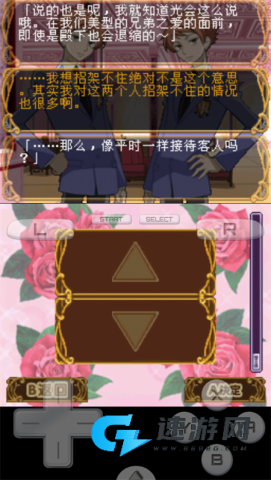 樱兰高校男公关部