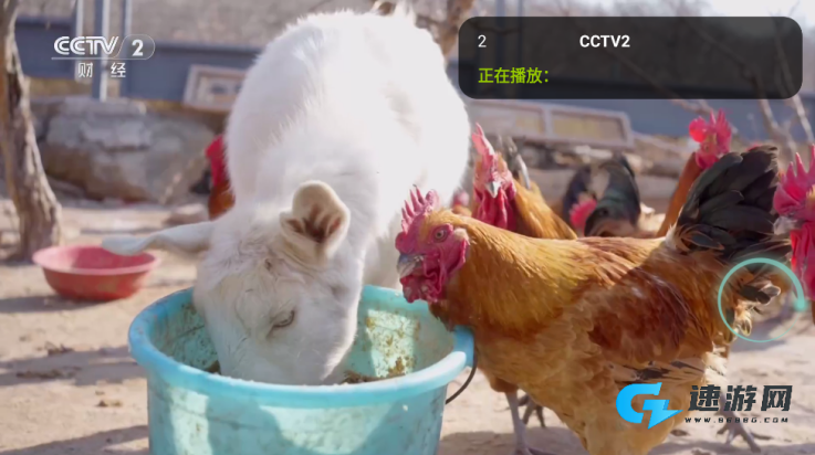 橙子影视TV(会员版)