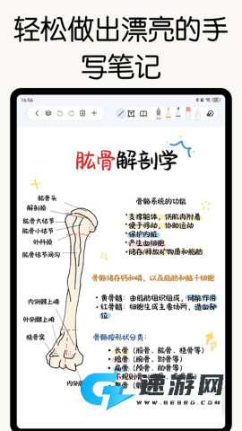 自由笔记