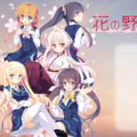 五色浮影绽放于花之海洋